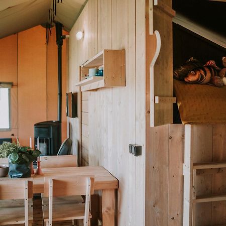Vakantiepark Dierenbos Vinkel Pokoj fotografie